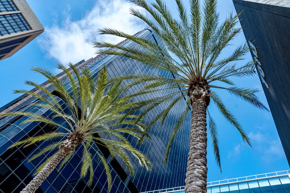  

Why Local Support Makes All the Difference in Smart Buildings 